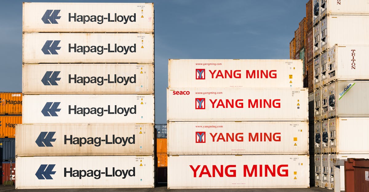 Stacked white Hapag-Lloyd and Yang Ming shipping containers