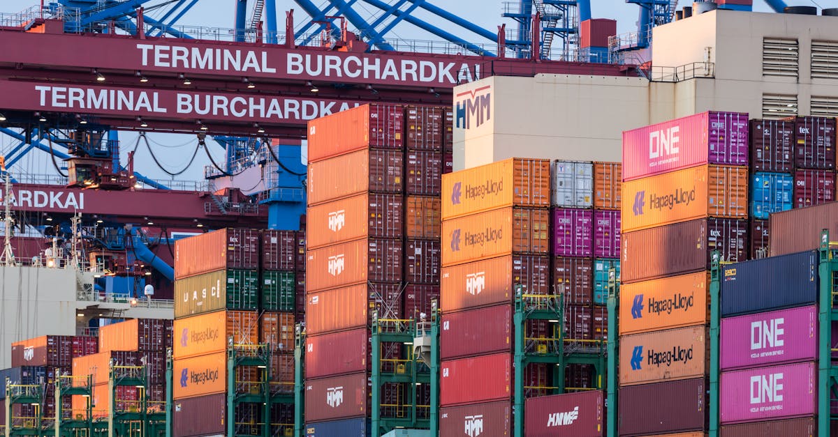 Shipping port at Terminal Burchardkai with multicolored stacked containers and blue gantry cranes overhead.