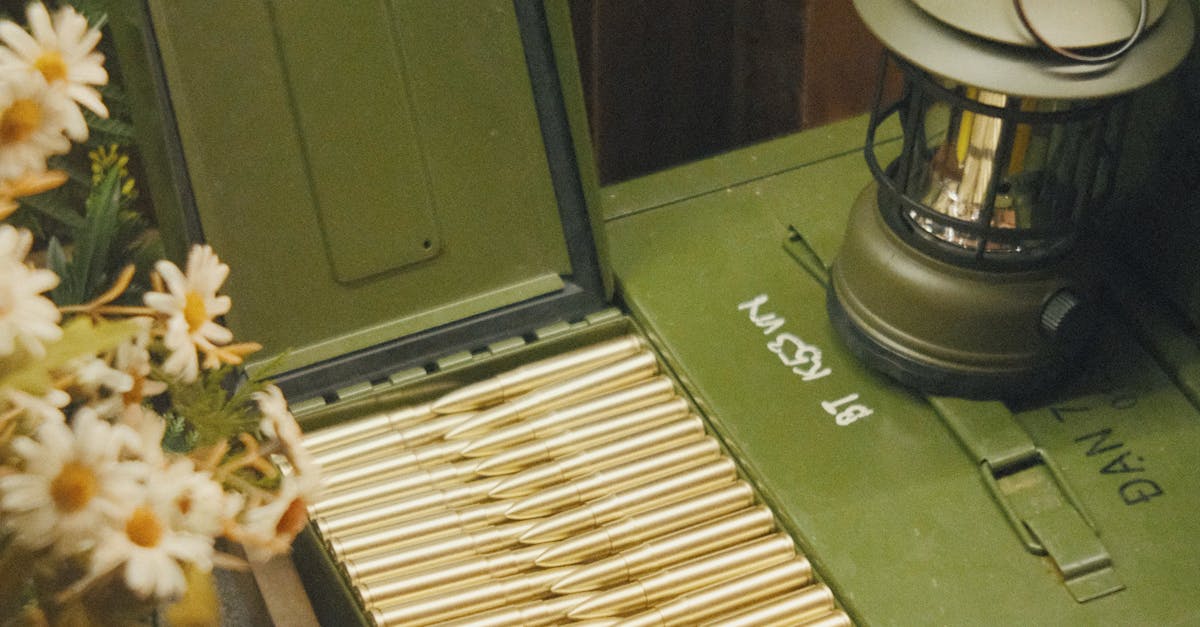 Close-up of a green ammo box with brass cartridges, a lantern, and daisies on the left.
