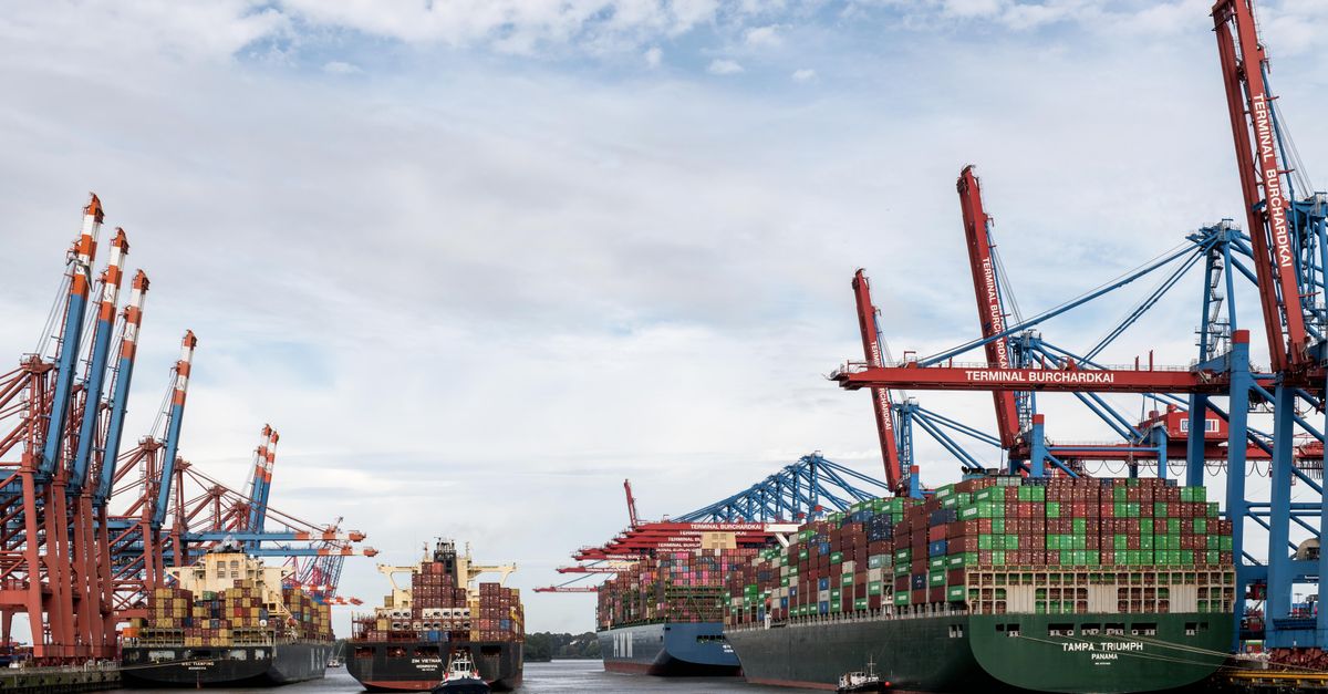 Large container ships docked at a busy port with red and blue gantry cranes unloading colorful shipping containers.